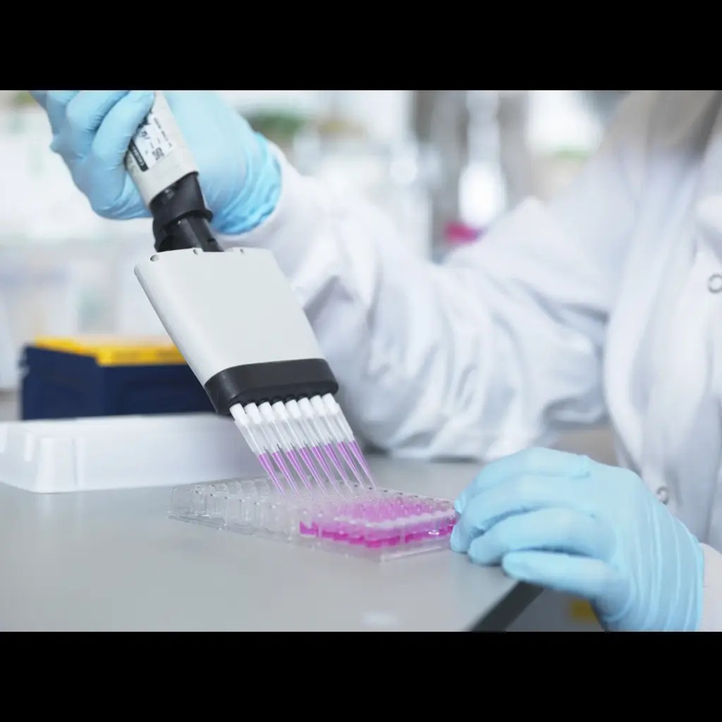 Bovine HES1 / Transcription factor HES 1 ELISA Kit