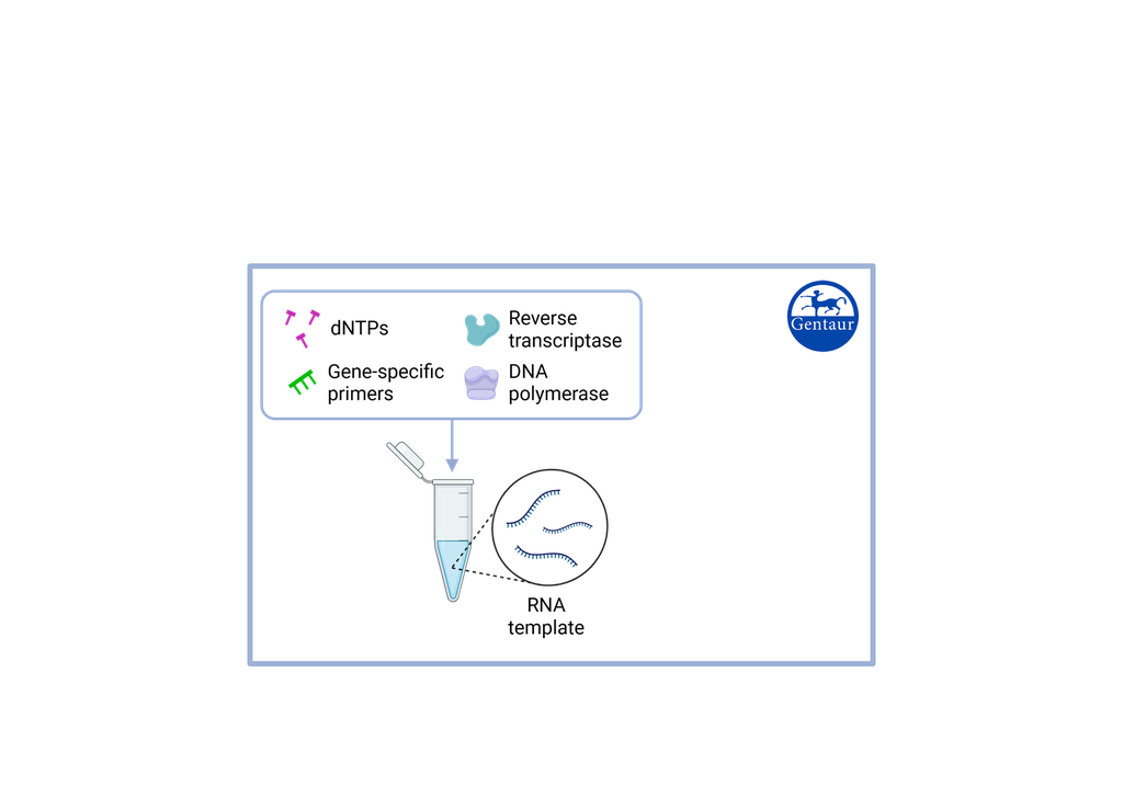 RT PCR Test Kits  SARS