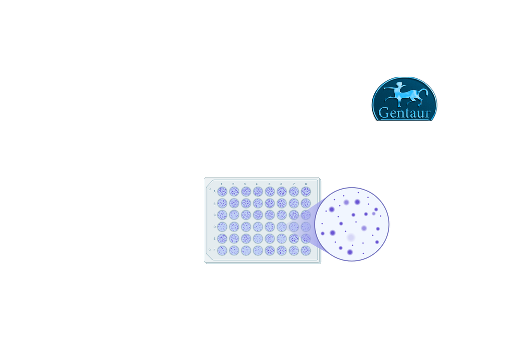 ELISA Kits  IgA
