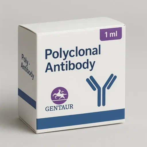 (KO Validated) TMPO Polyclonal Antibody