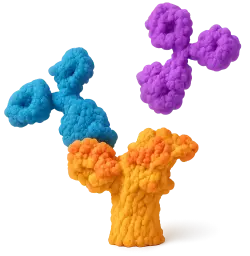  594 Rabbit anti-Human Podoplanin mAb (100 T)