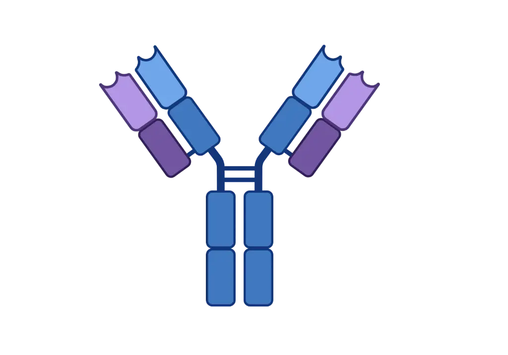 [CSB-20356] albA Antibody  HRP conjugated   