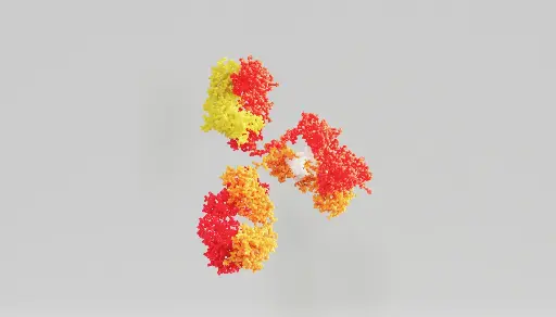 [GEN-ANTI-02] Gentaur FITC Mab Antibody for Fluorescence Detection