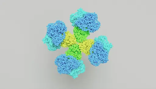 [GEN-ANTI-03] Gentaur Anti-FITC HRP Conjugated Antibody