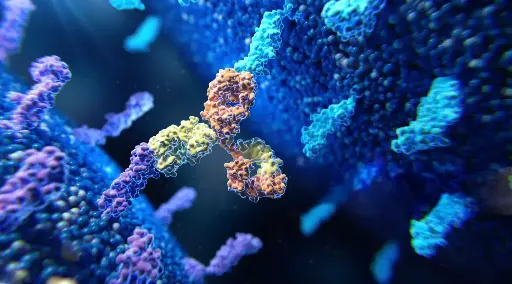 [GEN-ANTI-09] Gentaur RedPE Monoclonal Antibody