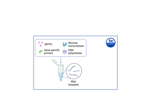 [M24MD100T] RT PCR Test Kits  SARS