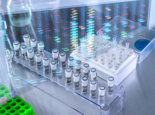 [GEN-BXS1009-klf] pMEV2HA-KLF4